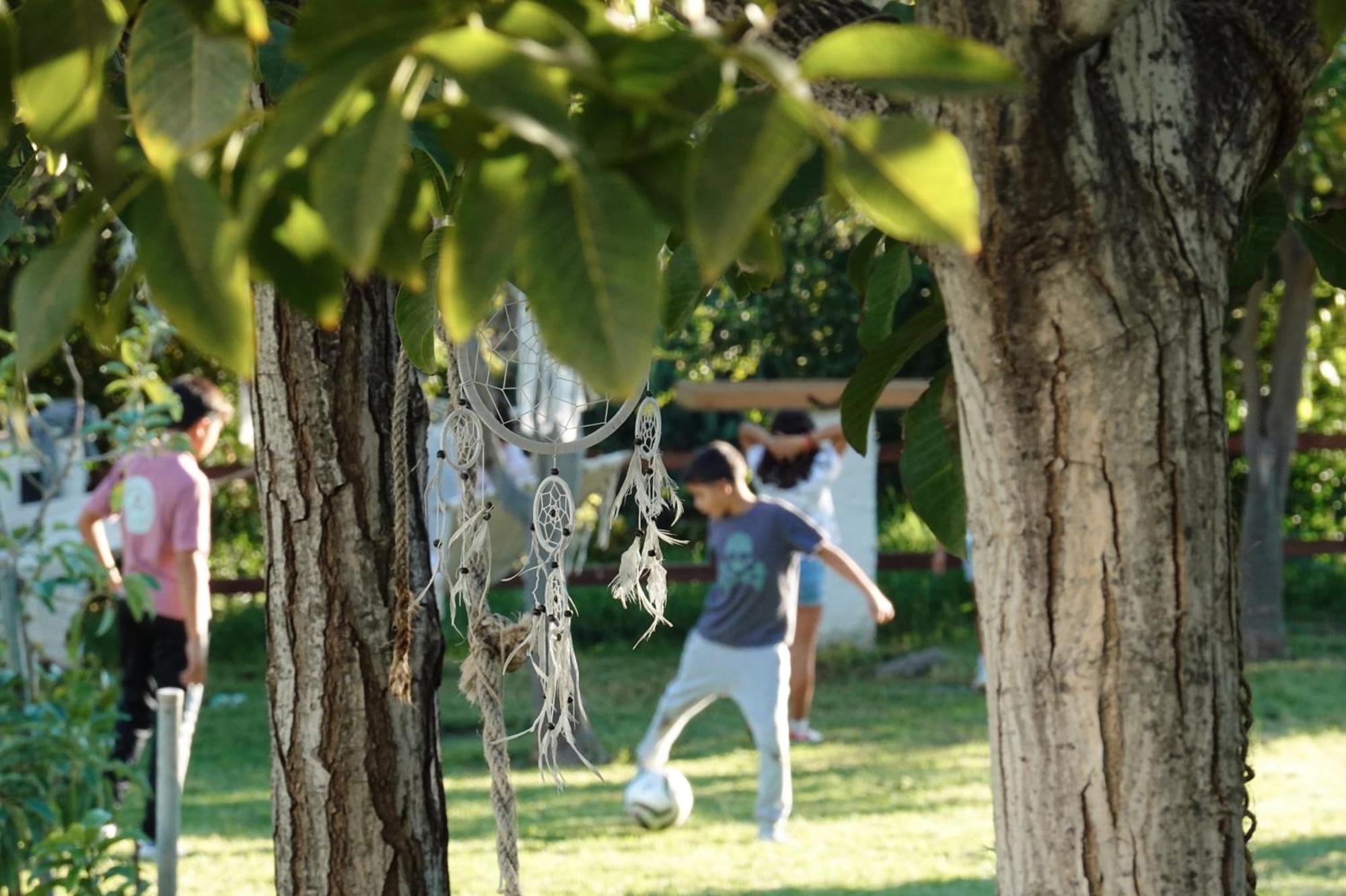 Hotel Taray Botanico Orgiva Esterno foto